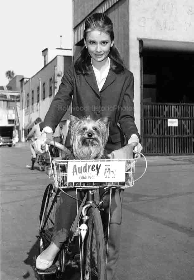 Audrey Hepburn 1961.jpg